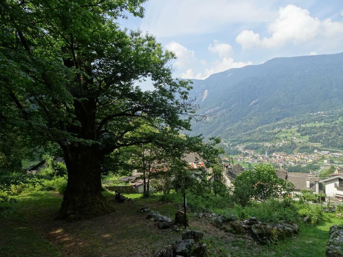 Casa Zizi Villa Crodo Luaran gambar