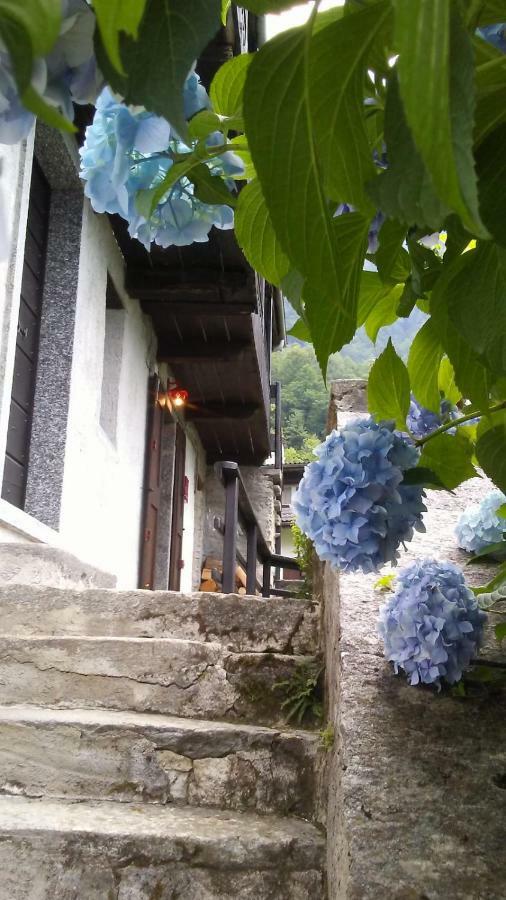 Casa Zizi Villa Crodo Luaran gambar